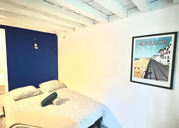 Cosy Willow - T2 Duplex - Gare De Pau